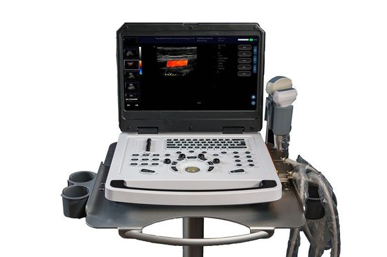 Scanner de machine à ultrasons à doppler couleur portable OEM